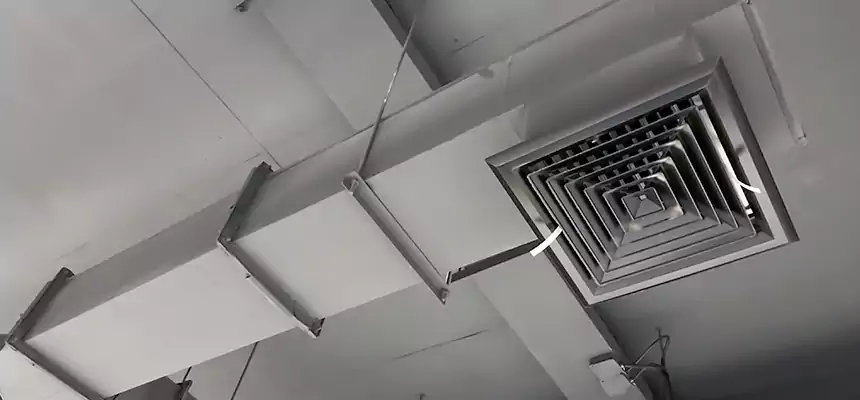 Our Rodent Droppings In Vents Services in Aberdeen, MD