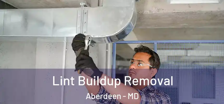 Lint Buildup Removal Aberdeen - MD