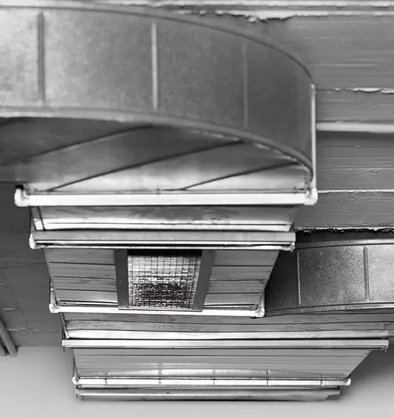 Professional Air Duct Pest Removal in Aberdeen, MD