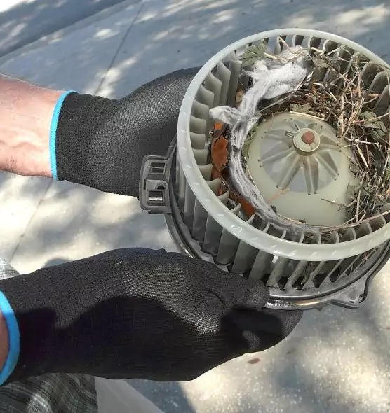 About Air Duct Rat Removal in Aberdeen, MD